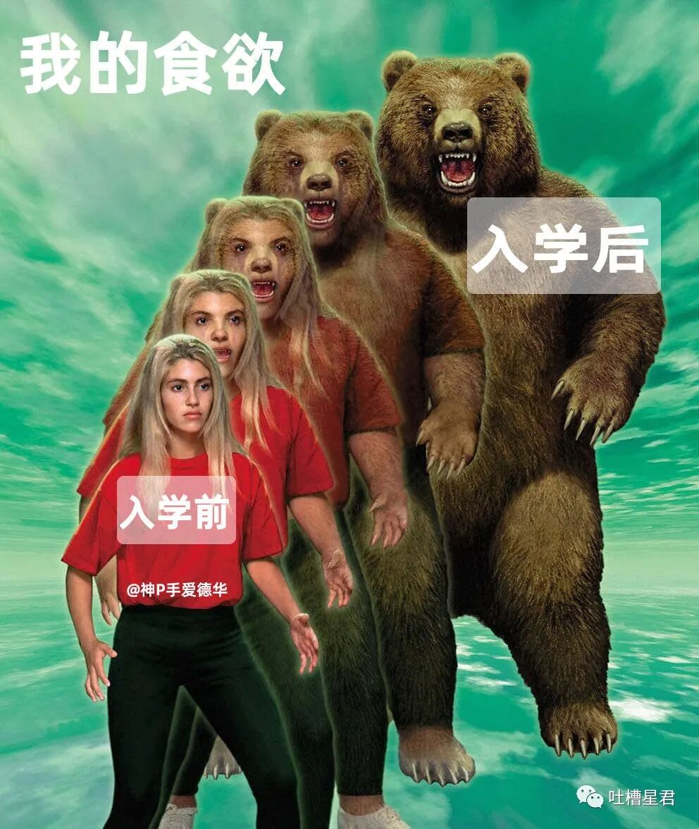 【爆笑】“背着男友监视前任朋友圈，结果手滑点到...”xswl（组图） - 9