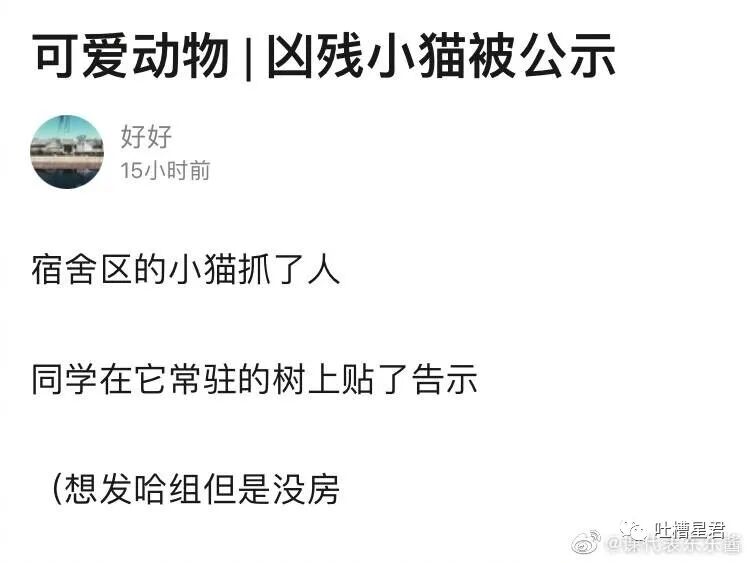【爆笑】“背着男友监视前任朋友圈，结果手滑点到...”xswl（组图） - 57