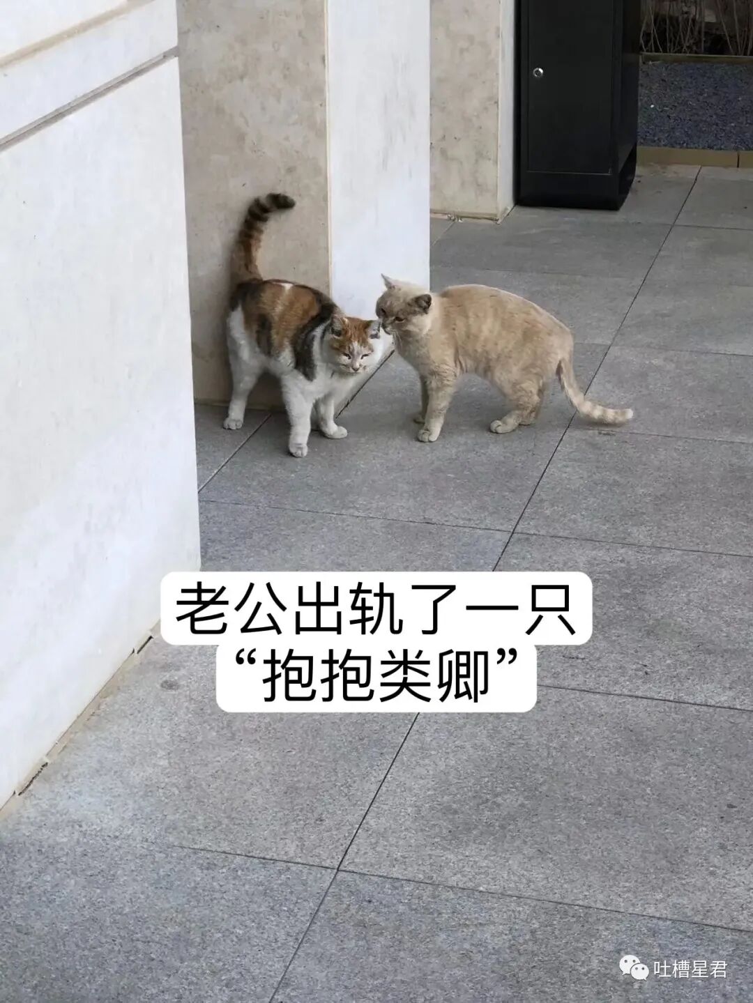 【爆笑】男友107亿的豪宅维修费一个亿？！啊啊啊汤臣一品都甘拜下风（组图） - 89