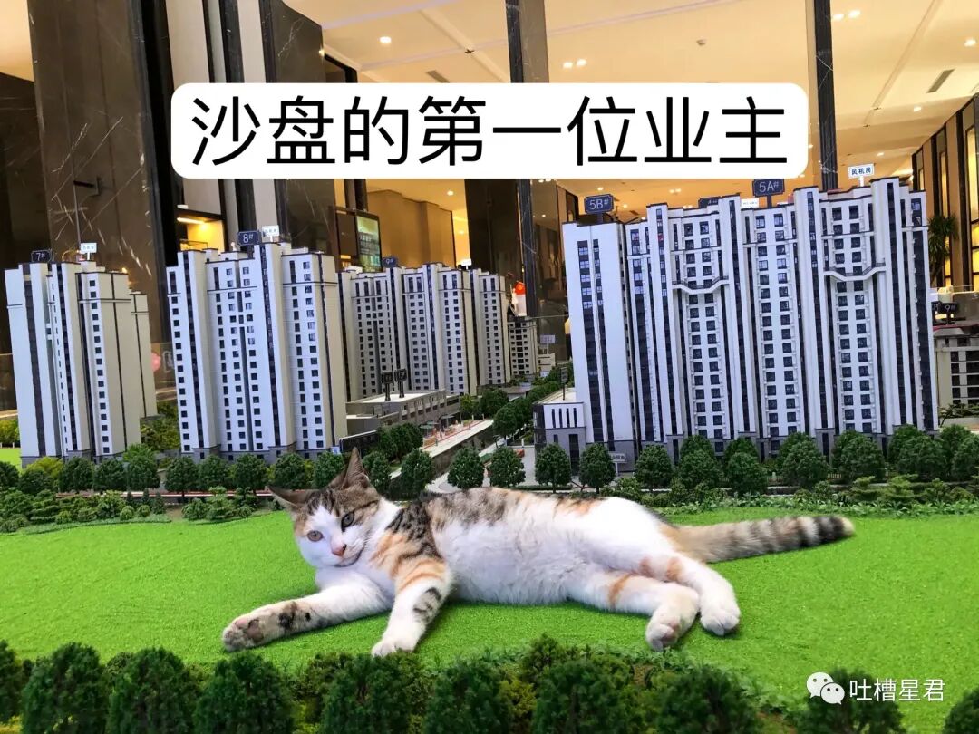 【爆笑】男友107亿的豪宅维修费一个亿？！啊啊啊汤臣一品都甘拜下风（组图） - 81