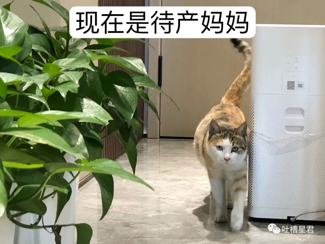 【爆笑】男友107亿的豪宅维修费一个亿？！啊啊啊汤臣一品都甘拜下风（组图） - 92