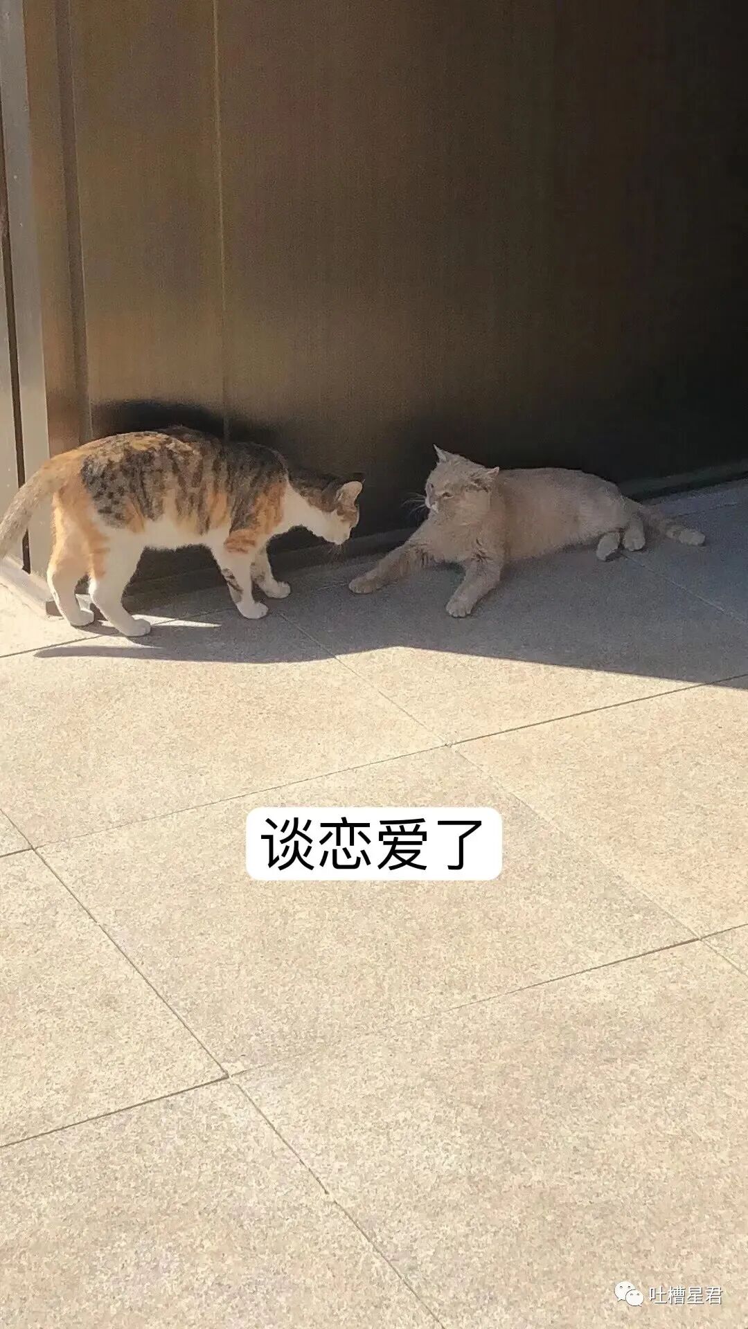 【爆笑】男友107亿的豪宅维修费一个亿？！啊啊啊汤臣一品都甘拜下风（组图） - 88