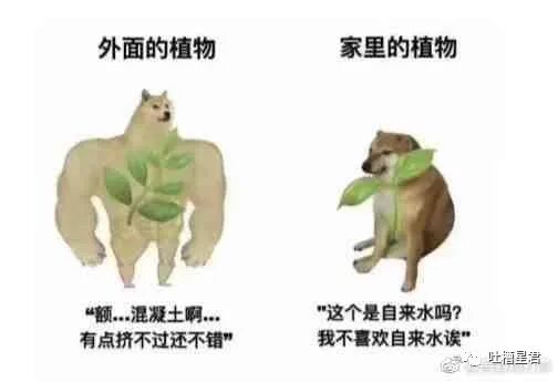 【爆笑】男友107亿的豪宅维修费一个亿？！啊啊啊汤臣一品都甘拜下风（组图） - 16