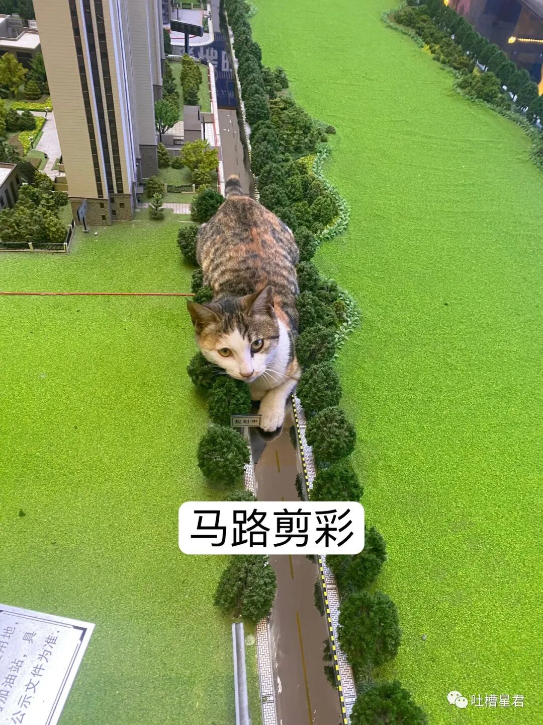 【爆笑】男友107亿的豪宅维修费一个亿？！啊啊啊汤臣一品都甘拜下风（组图） - 82