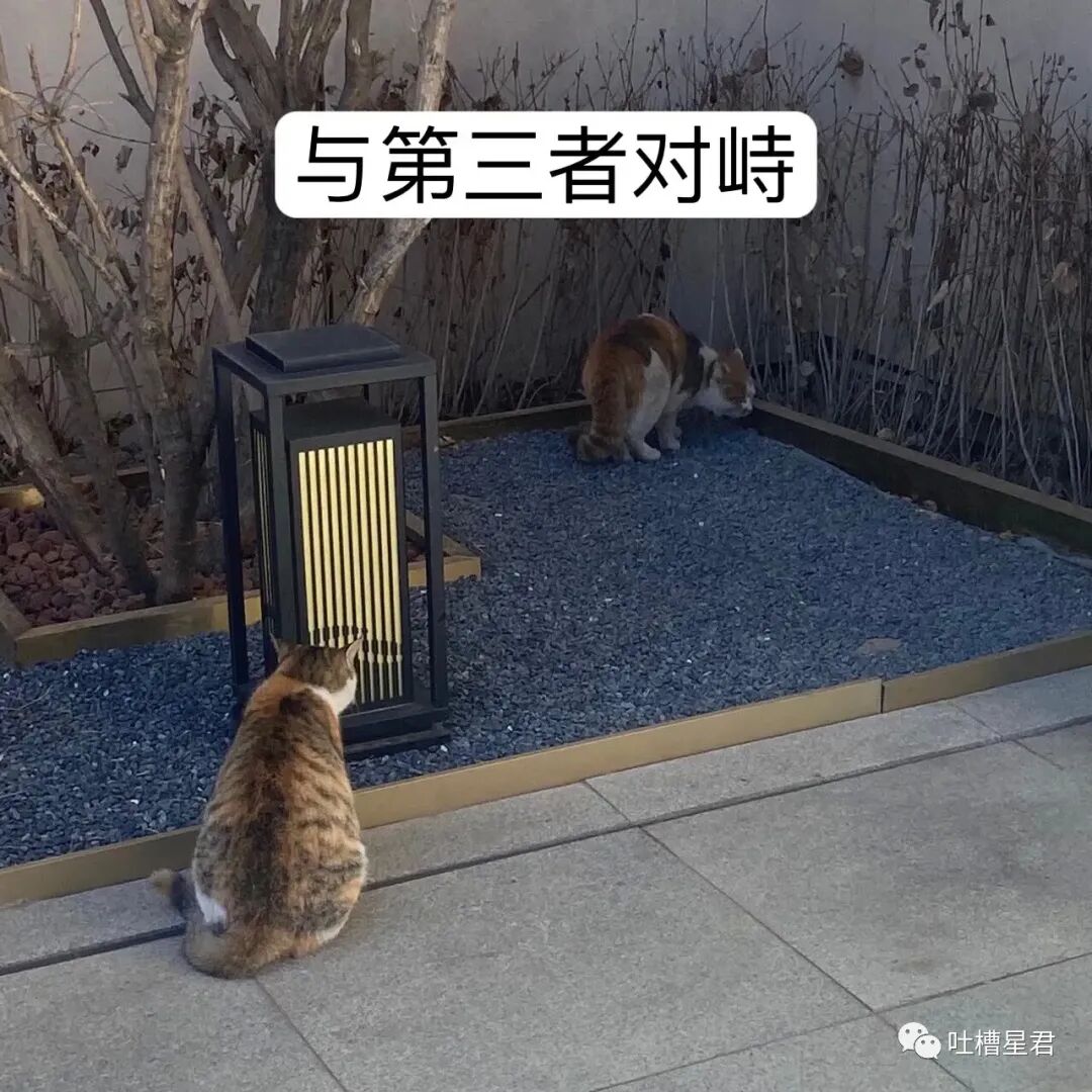 【爆笑】男友107亿的豪宅维修费一个亿？！啊啊啊汤臣一品都甘拜下风（组图） - 90