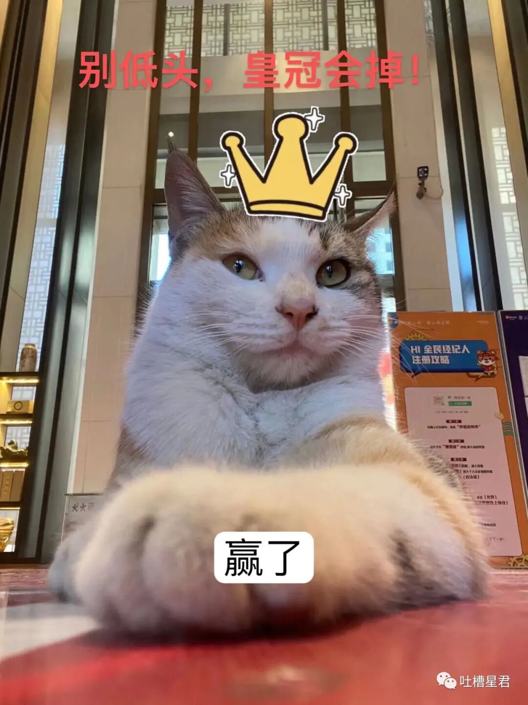 【爆笑】男友107亿的豪宅维修费一个亿？！啊啊啊汤臣一品都甘拜下风（组图） - 91