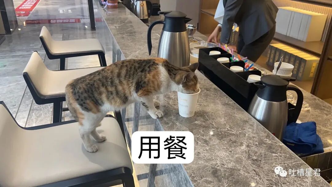 【爆笑】男友107亿的豪宅维修费一个亿？！啊啊啊汤臣一品都甘拜下风（组图） - 85