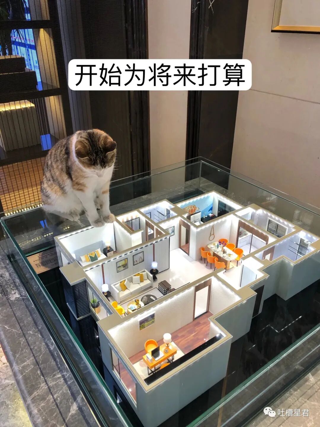 【爆笑】男友107亿的豪宅维修费一个亿？！啊啊啊汤臣一品都甘拜下风（组图） - 87