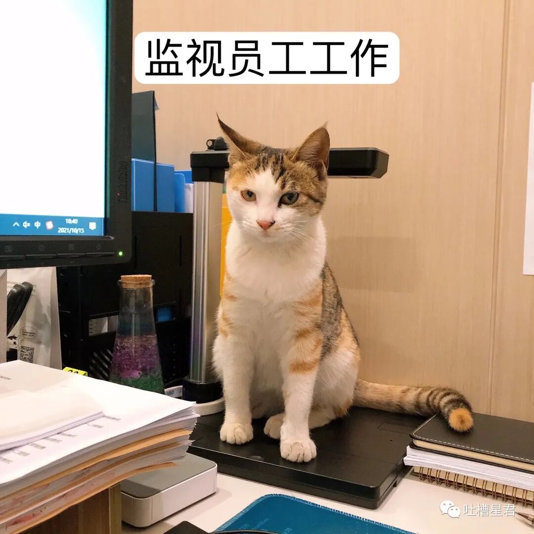 【爆笑】男友107亿的豪宅维修费一个亿？！啊啊啊汤臣一品都甘拜下风（组图） - 83