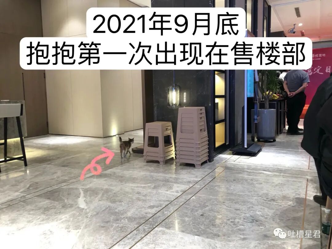 【爆笑】男友107亿的豪宅维修费一个亿？！啊啊啊汤臣一品都甘拜下风（组图） - 79