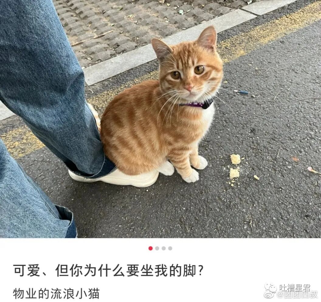 【爆笑】一夜暴富1.8w亿是什么概念？网友哭诉：爷17万年才能花完…（组图） - 58