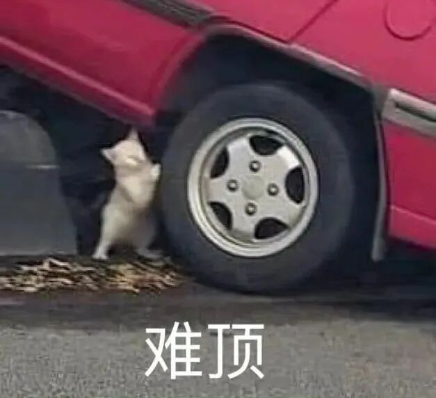 【爆笑】一夜暴富1.8w亿是什么概念？网友哭诉：爷17万年才能花完…（组图） - 1