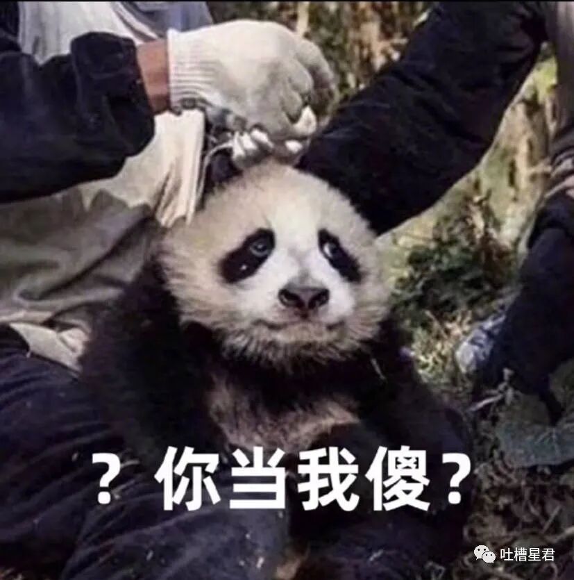 【爆笑】“一线女星截图流出我笑跪了…”Angelababy：就这么对老娘？！（组图） - 42