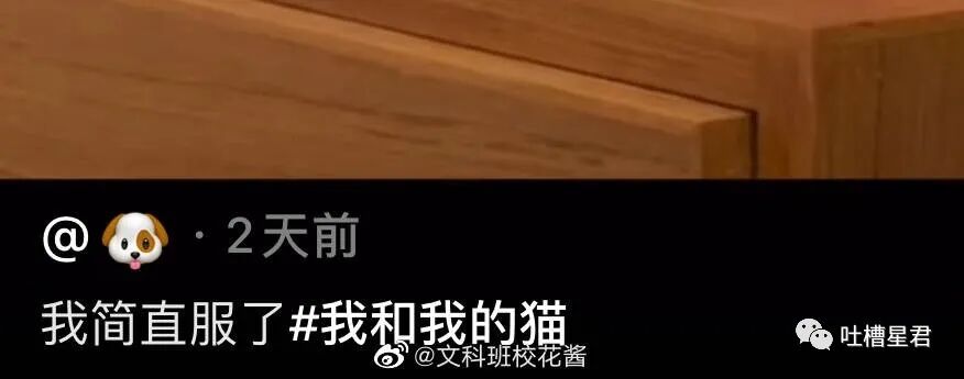【爆笑】“一线女星截图流出我笑跪了…”Angelababy：就这么对老娘？！（组图） - 31