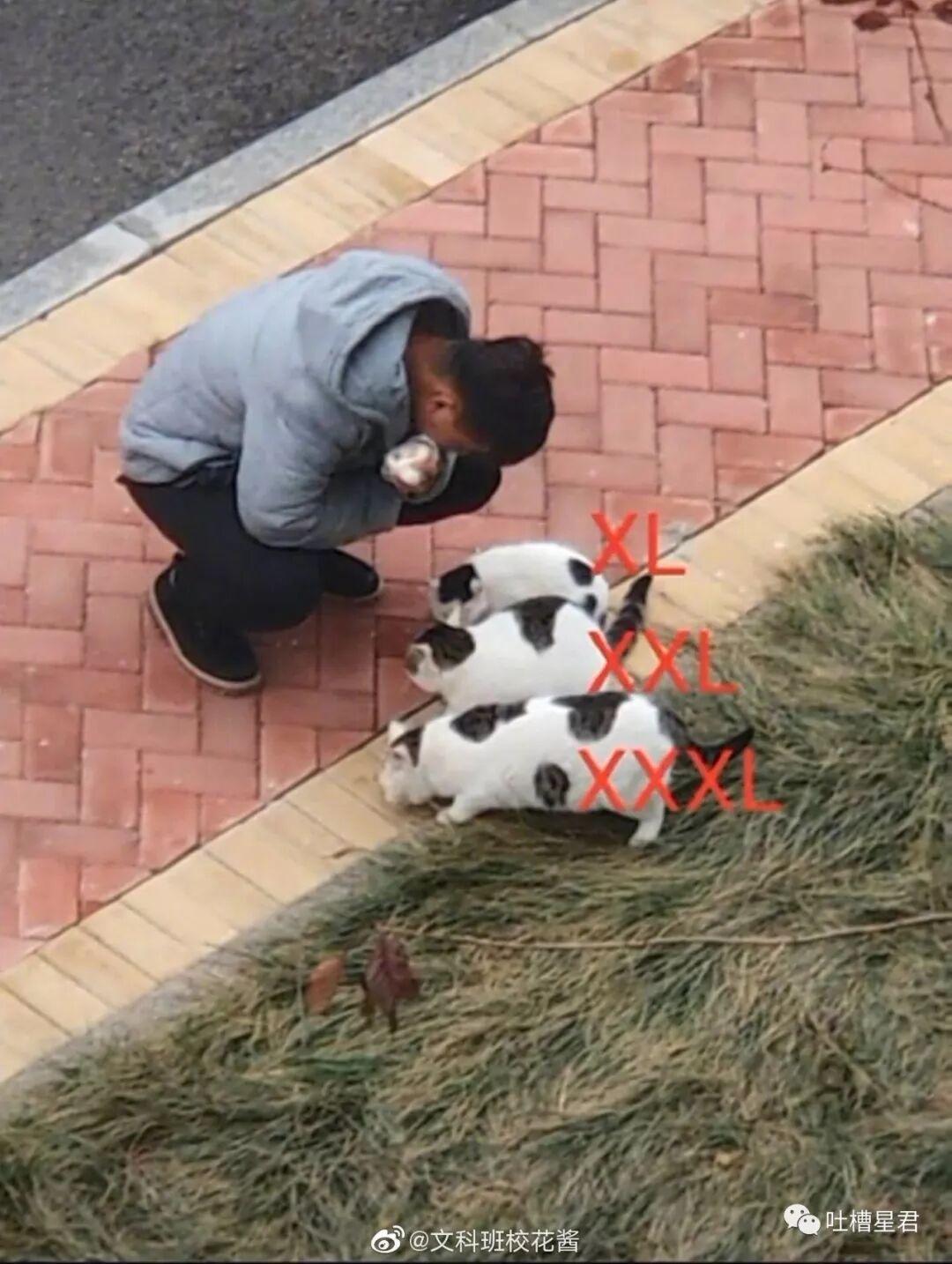 【爆笑】“郭德纲与张云雷恋情实锤！！”照片流出...哈哈哈哈xswl（组图） - 9