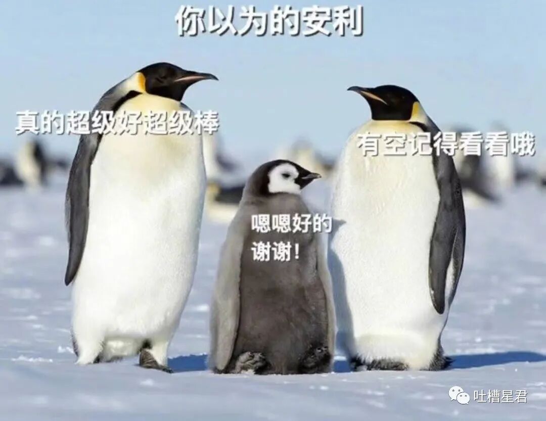 【爆笑】“这是P图还是换头啊？！”网红健身原图流出，哈哈哈哈这素颜太野了...（组图） - 9