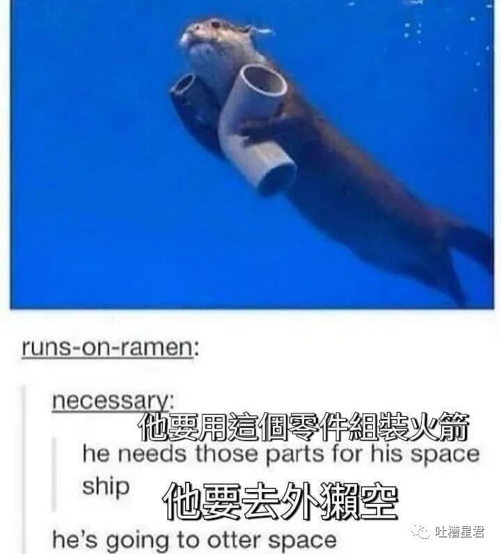 【爆笑】被曝两个月补税117.47亿是什么概念？？这就是明星的求生欲吗…（组图） - 39