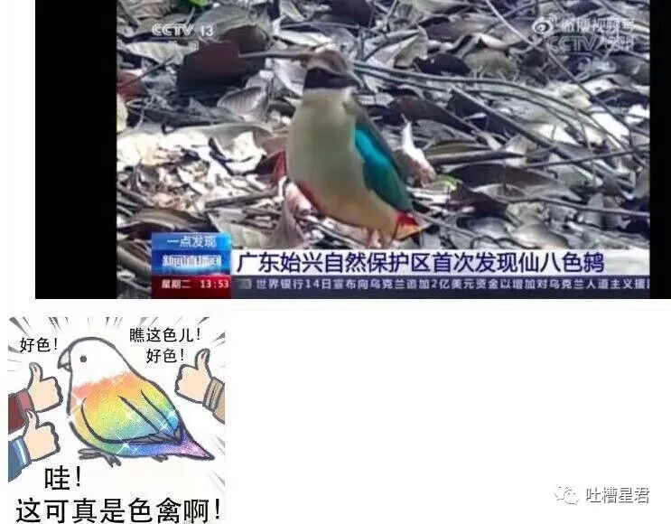 【爆笑】被曝两个月补税117.47亿是什么概念？？这就是明星的求生欲吗…（组图） - 7