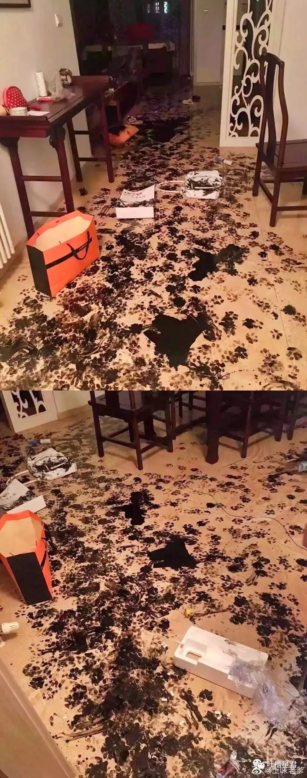 【爆笑】“跟王力宏撞脸能有多痛苦？！”哈哈哈哈淦网友评论笑不活了…（组图） - 73