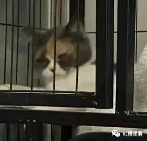 【爆笑】“跟王力宏撞脸能有多痛苦？！”哈哈哈哈淦网友评论笑不活了…（组图） - 8