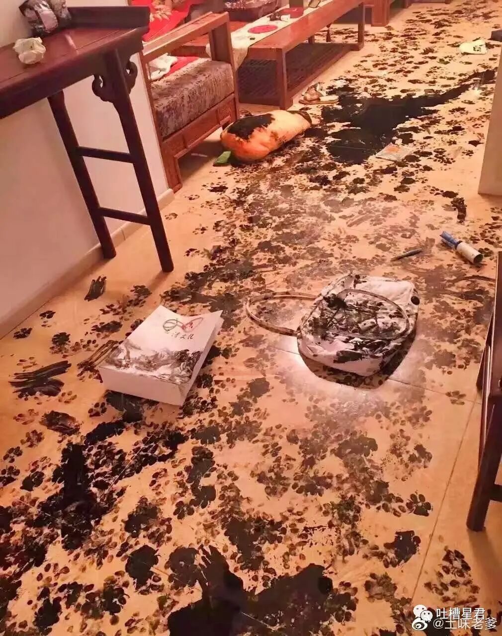 【爆笑】“跟王力宏撞脸能有多痛苦？！”哈哈哈哈淦网友评论笑不活了…（组图） - 72