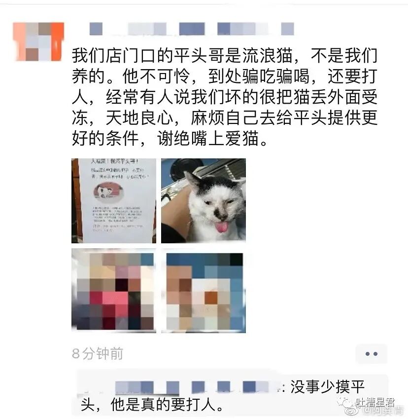 【爆笑】“在X宝买了条人鱼色连衣裙，试穿发给男友后…”沙雕直男：玩儿这么野的吗（组图） - 22