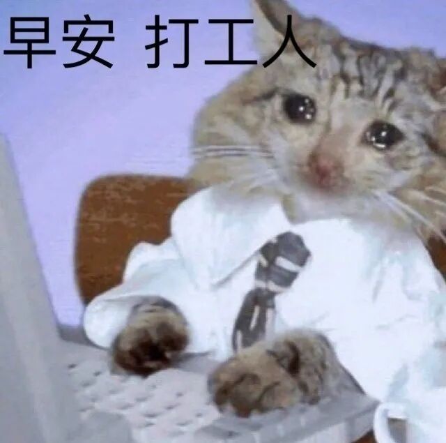 【爆笑】“被网恋三年的女友骗走72w！！”吓到报警后...她居然是我的男同事？（组图） - 2