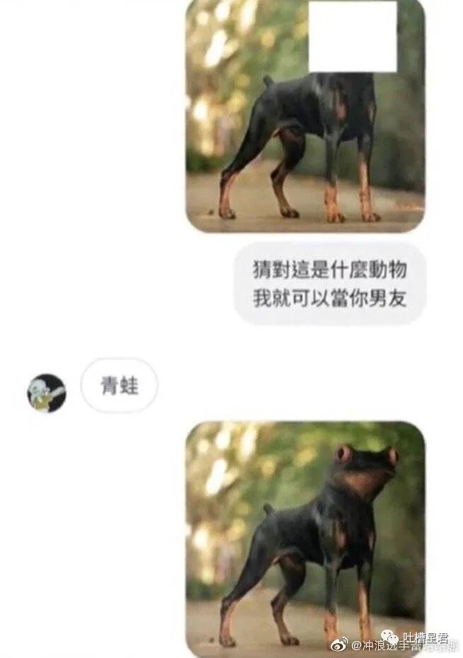 【爆笑】“王思聪朋友圈爆料...潘玮柏老婆到底什么背景？？”网友：这瓜我看不懂（组图） - 16