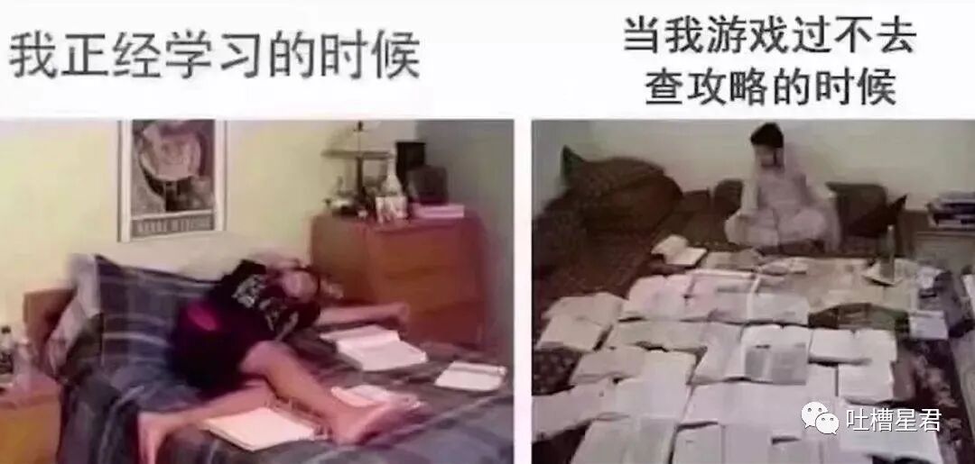 【爆笑】“王思聪朋友圈爆料...潘玮柏老婆到底什么背景？？”网友：这瓜我看不懂（组图） - 26