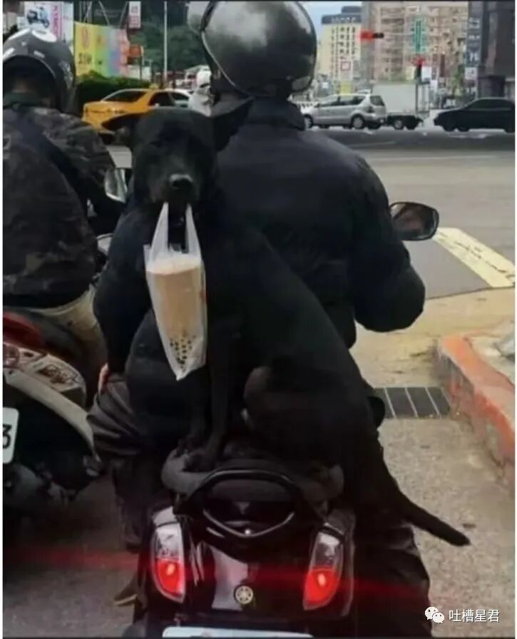 【爆笑】千万！不要轻易给男朋友发小X图…哈哈哈这就是禁欲系对象？？（组图） - 36