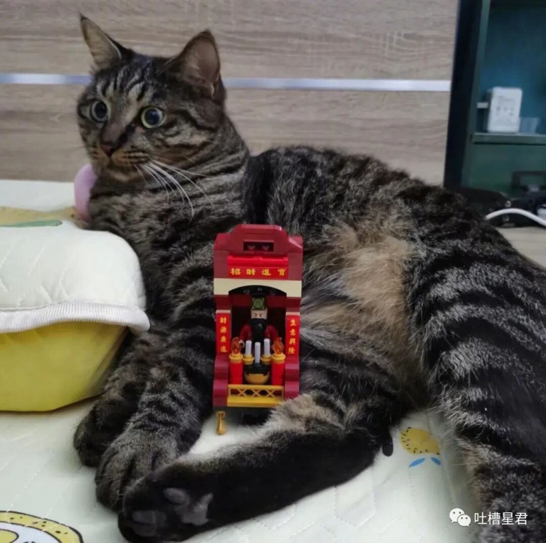 【爆笑】网曝杨幂恋上19岁富二代？？网友吃惊：姐姐的快乐确实酸了（组图） - 42