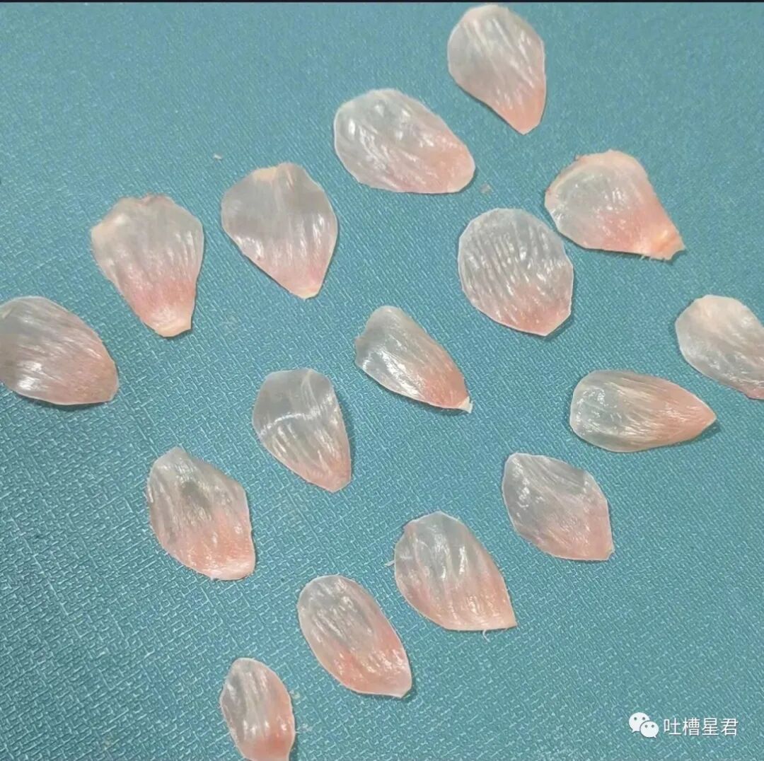 【爆笑】网曝杨幂恋上19岁富二代？？网友吃惊：姐姐的快乐确实酸了（组图） - 55