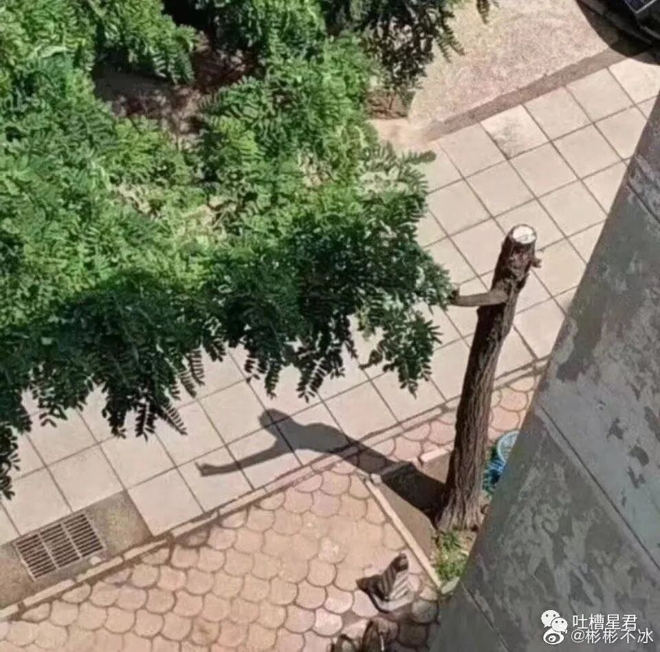 【爆笑】网曝杨幂恋上19岁富二代？？网友吃惊：姐姐的快乐确实酸了（组图） - 16