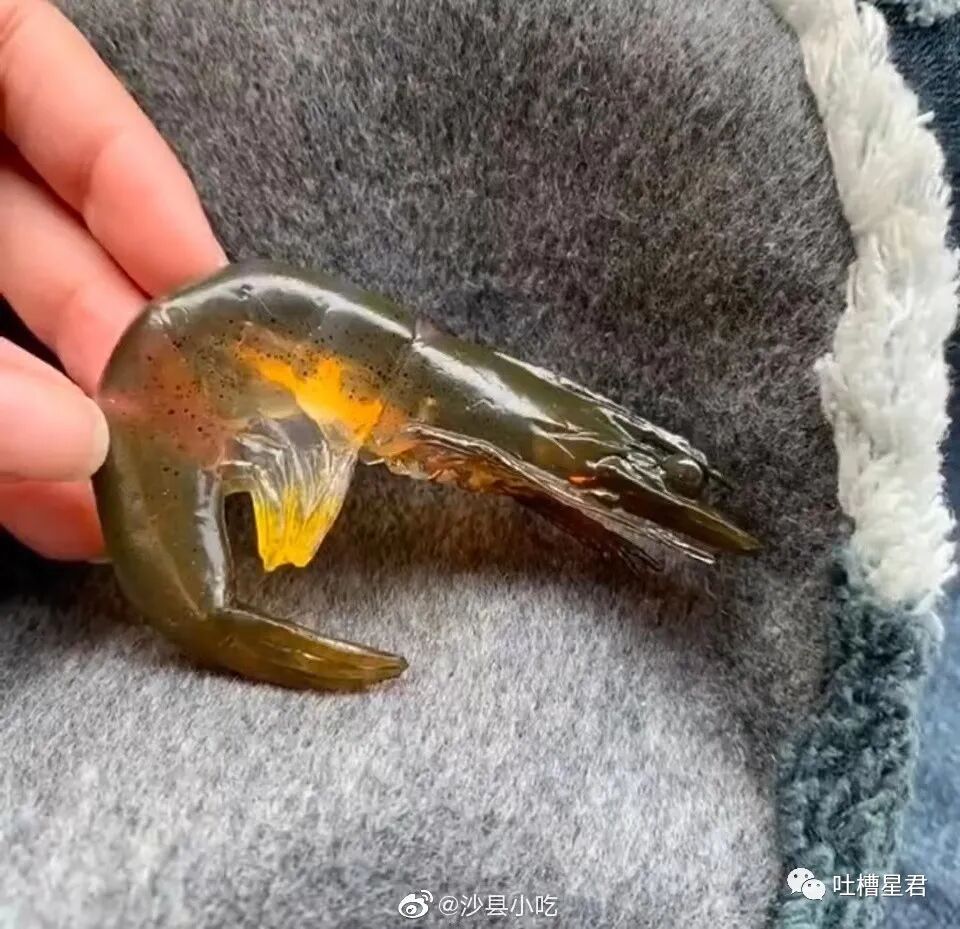【爆笑】网曝杨幂恋上19岁富二代？？网友吃惊：姐姐的快乐确实酸了（组图） - 35