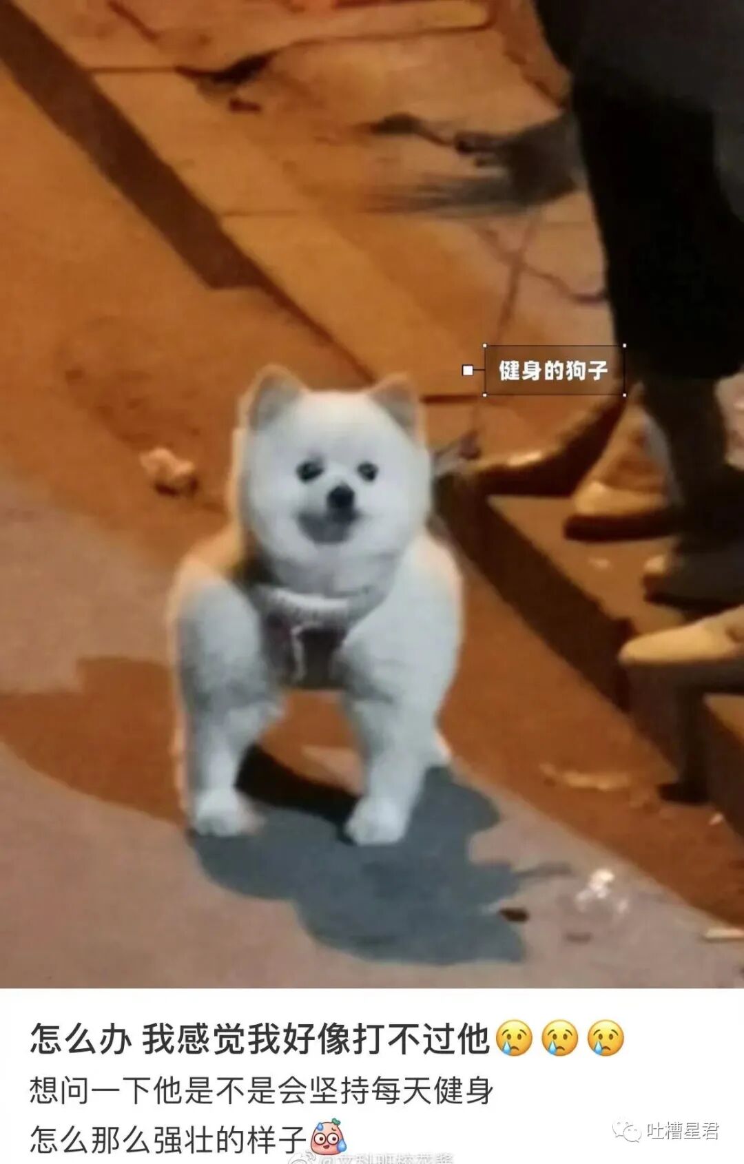 【爆笑】网曝杨幂恋上19岁富二代？？网友吃惊：姐姐的快乐确实酸了（组图） - 68