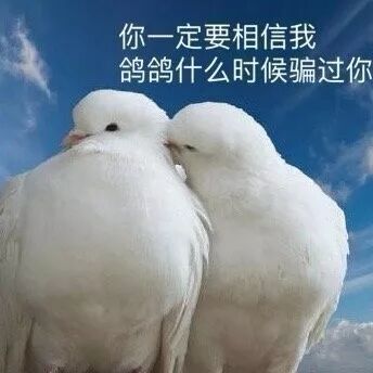 【爆笑】“女朋友狂砸200w！我被宠成小公主...”这tm什么绝美爱情？！我酸了...（组图） - 78