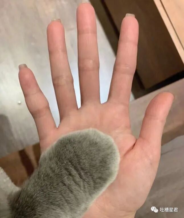 【爆笑】“给女友网购了纯欲风露背裙，这该怎么穿？？”哈哈哈哈转过身当场裂开了…（组图） - 10