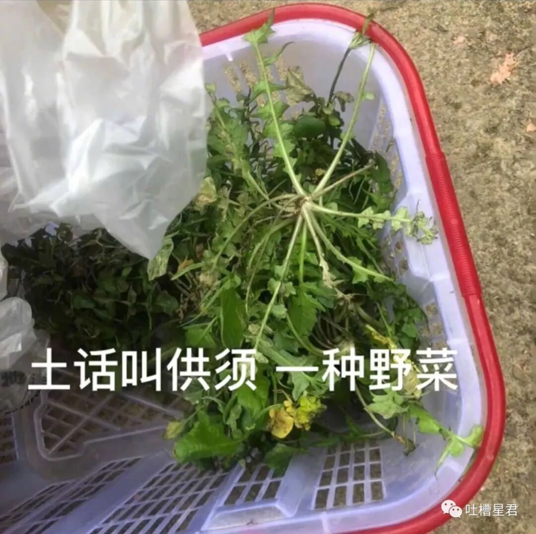 【爆笑】“给女友网购了纯欲风露背裙，这该怎么穿？？”哈哈哈哈转过身当场裂开了…（组图） - 44