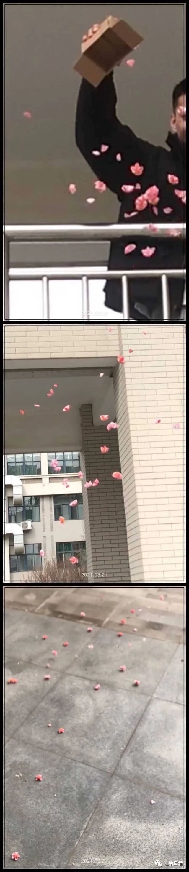 【爆笑】“给女友网购了纯欲风露背裙，这该怎么穿？？”哈哈哈哈转过身当场裂开了…（组图） - 70