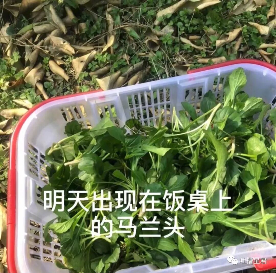 【爆笑】“给女友网购了纯欲风露背裙，这该怎么穿？？”哈哈哈哈转过身当场裂开了…（组图） - 45