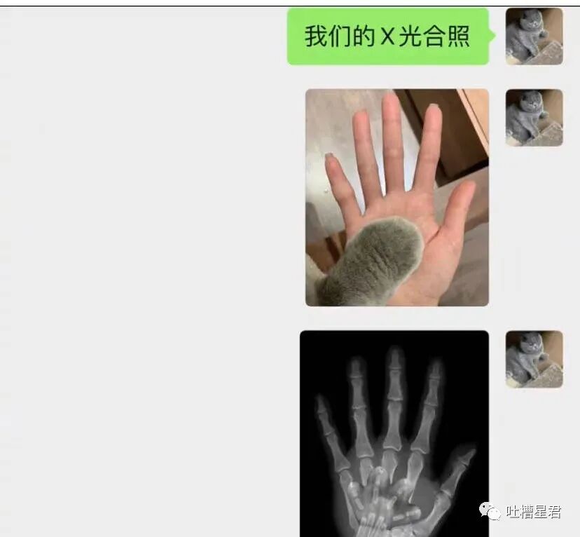 【爆笑】“给女友网购了纯欲风露背裙，这该怎么穿？？”哈哈哈哈转过身当场裂开了…（组图） - 9