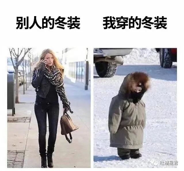 【爆笑】“深夜和女友看小电影却投屏给了…”这外放画面公开处刑哈哈哈哈（组图） - 18