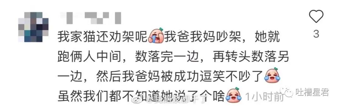 【爆笑】“深夜和女友看小电影却投屏给了…”这外放画面公开处刑哈哈哈哈（组图） - 25