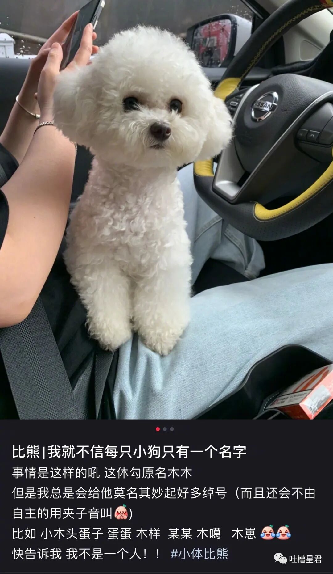【爆笑】千万！不要在国庆节借宿亲戚家！ 啊啊啊啊18人同睡就离谱..（组图） - 37