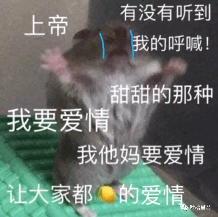 交不到女友怎麼辦  被男友拉進他們家庭群之後，結果對話... 情感 第11張