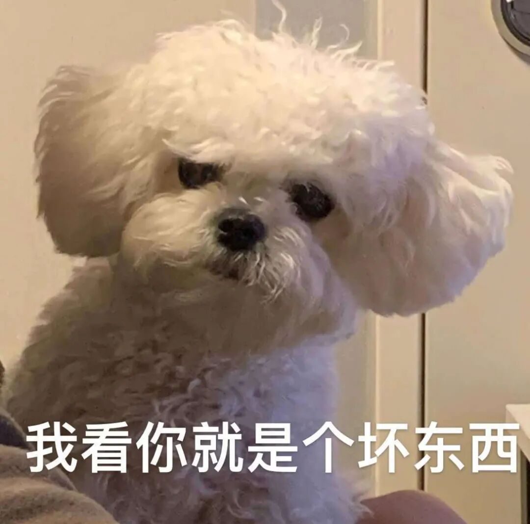 【爆笑】“男友做鸭卷走富婆15w上交老婆？”网友：哈哈哈渣男的脑回路防不胜防…（组图） - 2