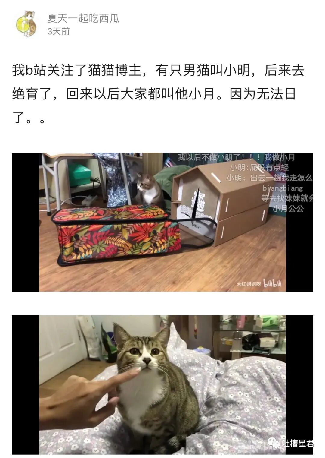 【爆笑】“男友做鸭卷走富婆15w上交老婆？”网友：哈哈哈渣男的脑回路防不胜防…（组图） - 56
