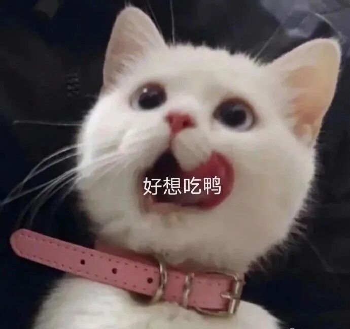 香港女星图鉴u2026啊啊啊接好我的鼻血！ - 吐槽星君 微信公众号文章阅读- WeMP