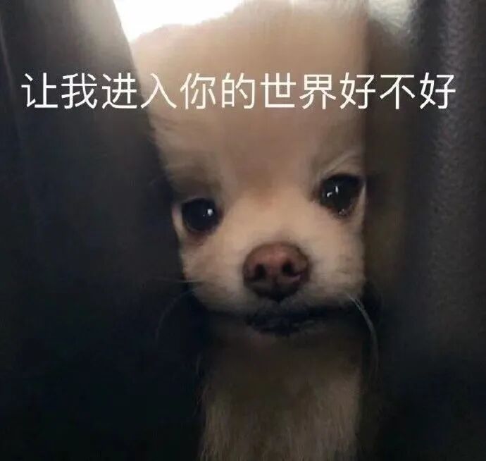 【爆笑】大S刚离4个月又和韩国初恋闪婚？网友震惊：前任的电话不能删（组图） - 97
