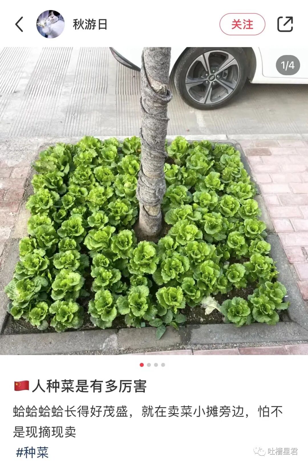 【爆笑】黄晓明Angelababy真离了？！网友：不用纠结去谁家过年了…（组图） - 10